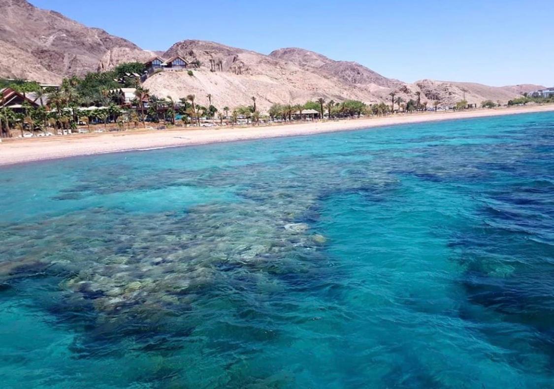 Eilat Suite Boutique المظهر الخارجي الصورة